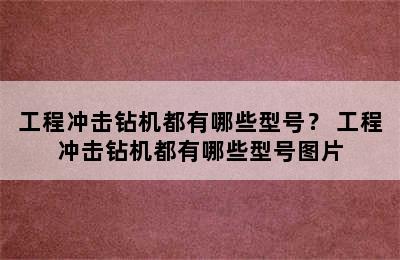 工程冲击钻机都有哪些型号？ 工程冲击钻机都有哪些型号图片